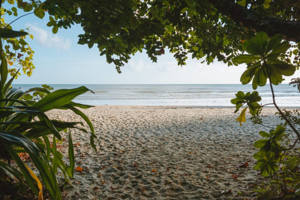 2019-Content-Images-Tropical-North-Queensland-credit-tourism-australia-scaled