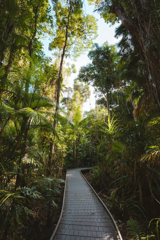 2019-Content-Images-Tropical-North-credit-tourism-australia-Queensland-scaled