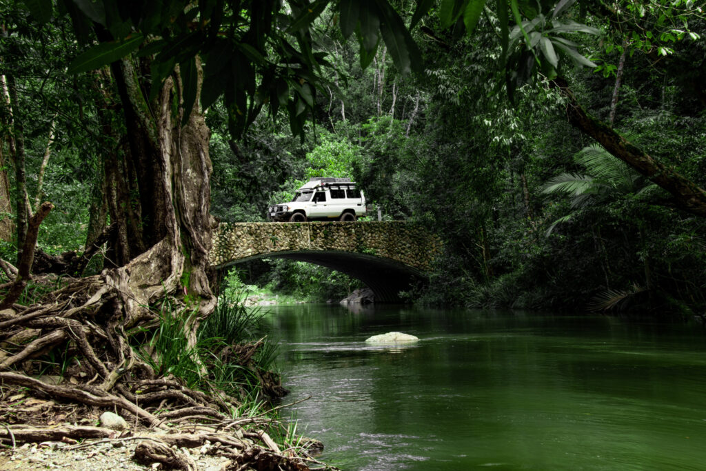 Bloomfield-Track-credit-Toursim-Tropical-North-Qld-scaled
