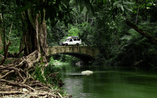 Bloomfield-Track-credit-Toursim-Tropical-North-Qld-scaled