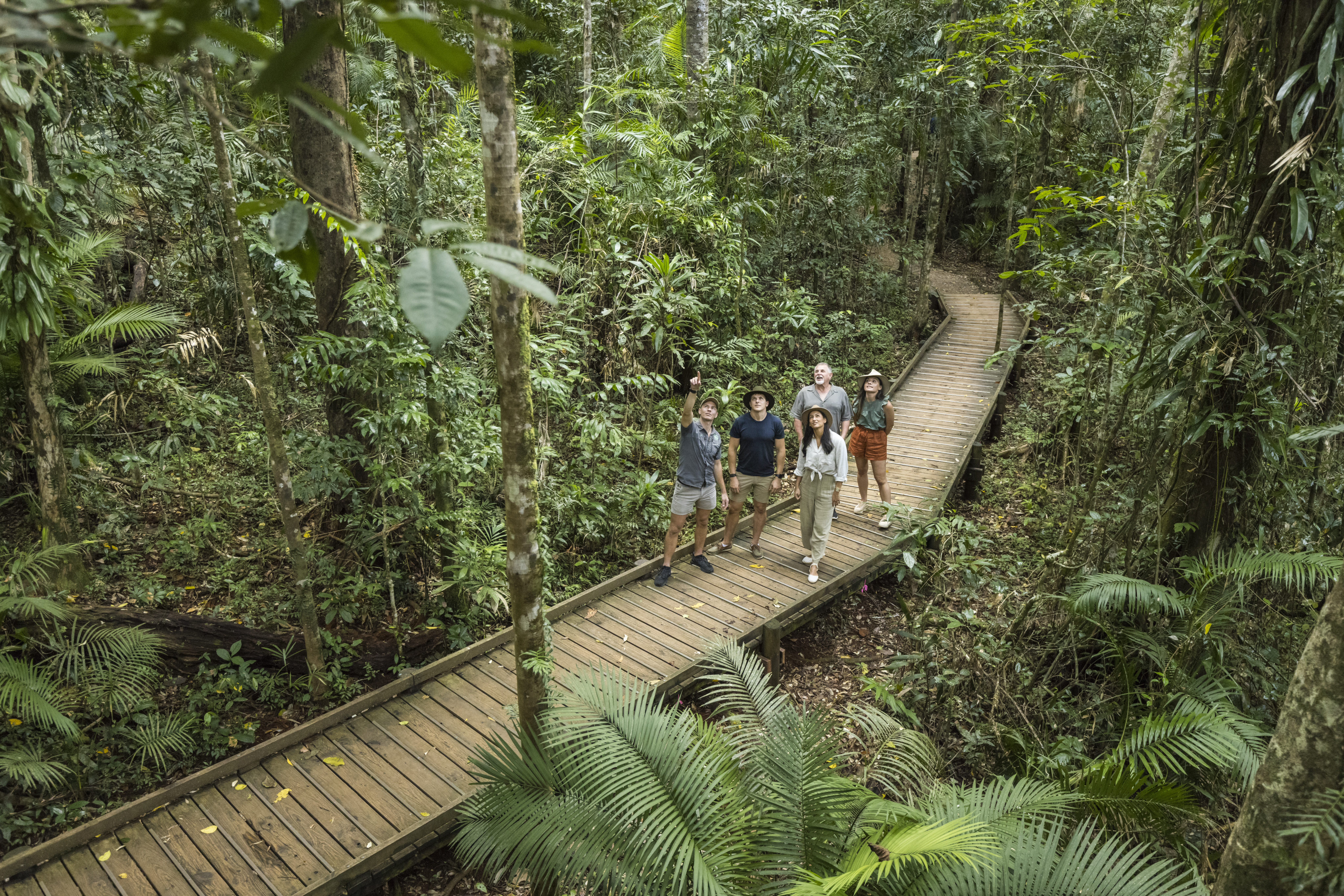 Image of people Hiking in the Daintree Rainforest
