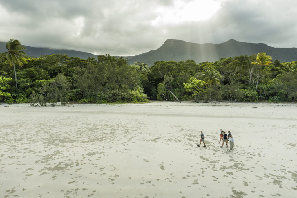 FNQ-Nature-Tours-credit-Toursim-Tropical-North-Qld-scaled