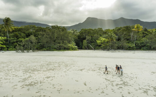 FNQ-Nature-Tours-credit-Toursim-Tropical-North-Qld-scaled