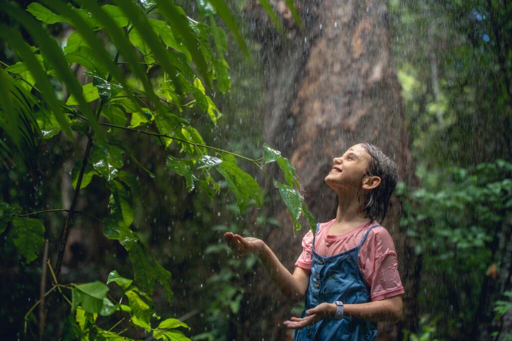 Rainforest-Rain-credit-Toursim-Tropical-North-Qld
