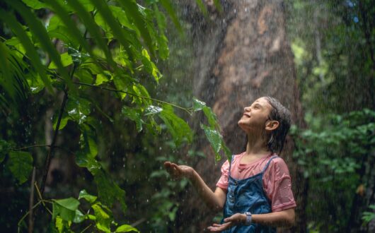 Rainforest-Rain-credit-Toursim-Tropical-North-Qld