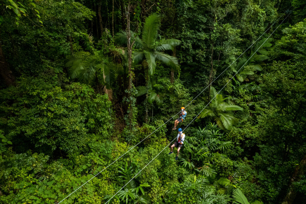 Treetops-Adventure-Cape-Trib-credit-Toursim-Tropical-North-Qld-scaled