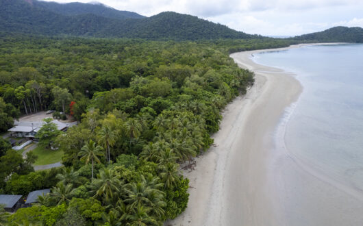 Daintree Photos-174
