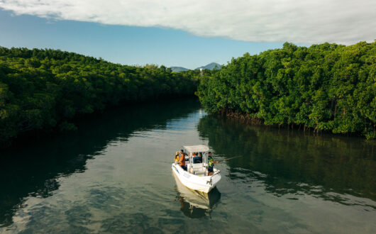 Fishing_ estuary_03