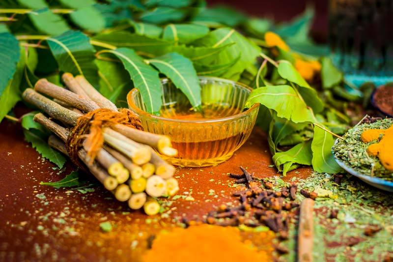 Daintree-Ayurvedic-Healing