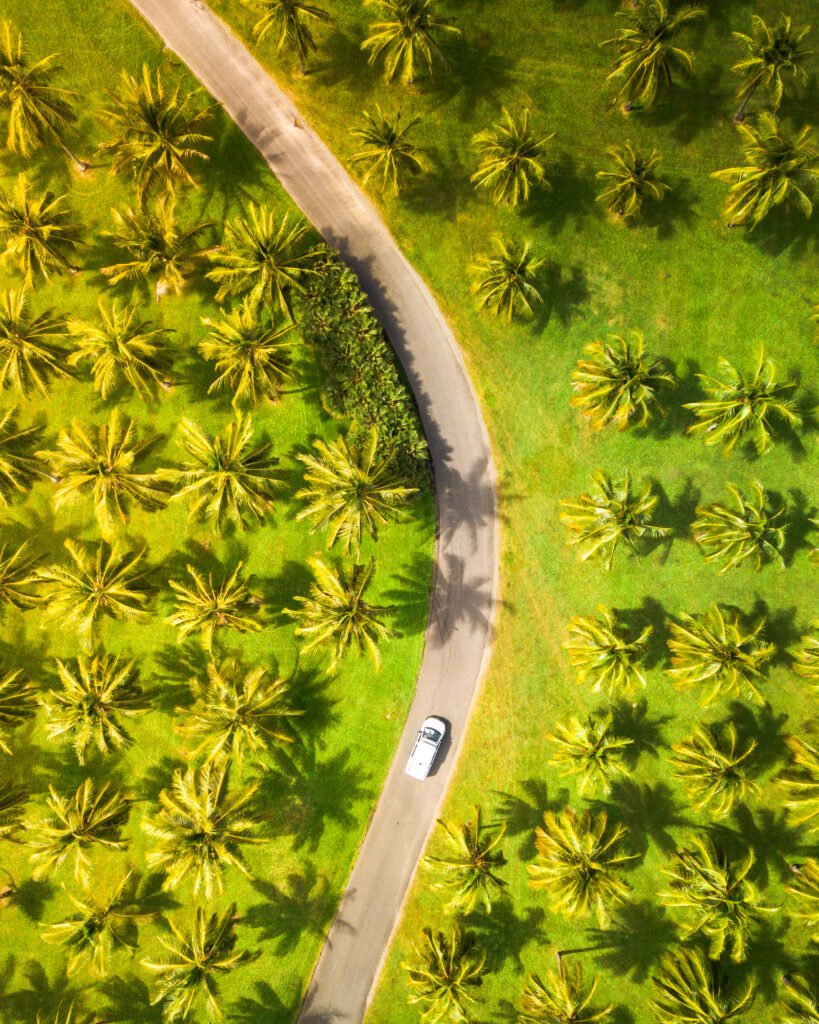 Driving through Thala Beach Nature Reserve (1)